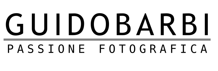 footer-logo